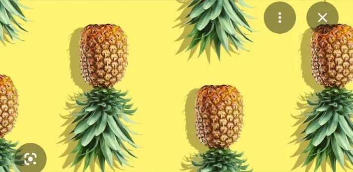 OnlyFans account  pineapplebluez header 2