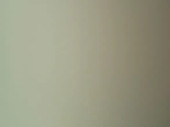 OnlyFans cuenta officialbrookepaige header 2