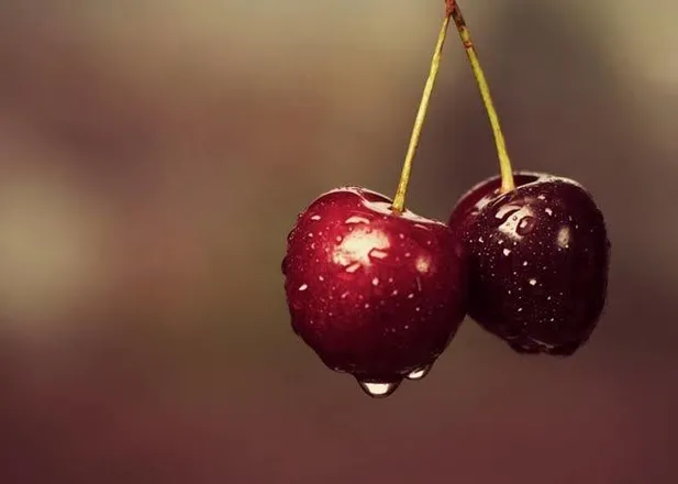 OnlyFans cuenta melany.69 header 2