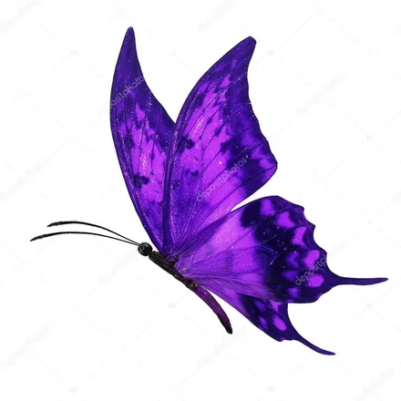 OnlyFans cuenta miss_butterfly1234 header 2