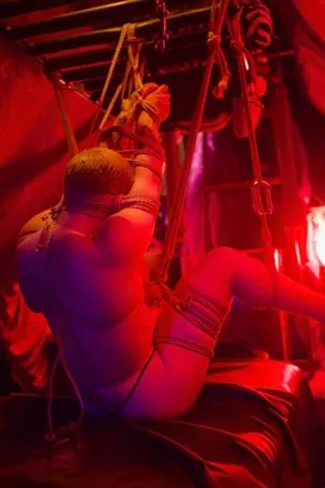 OnlyFans cuenta thatdickiewolfe header 2