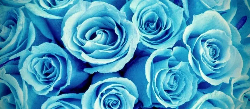 OnlyFans account  laanaalove header 2