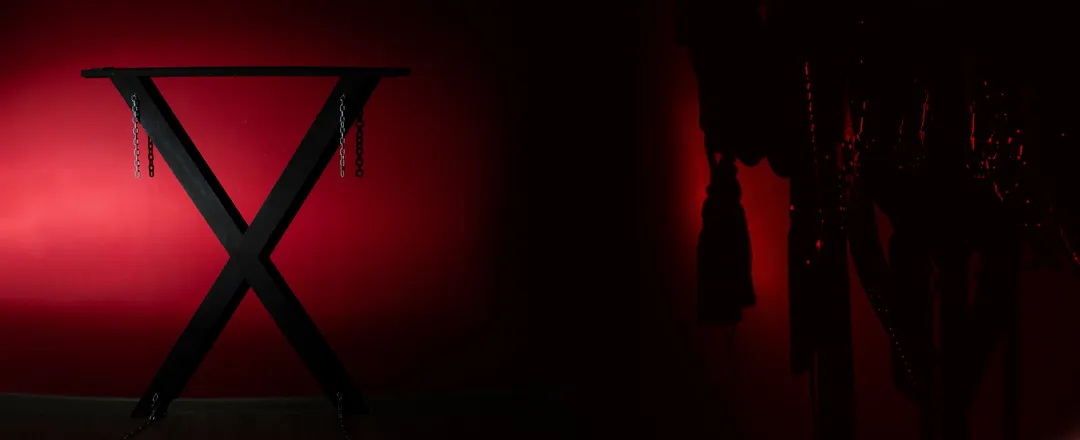 OnlyFans account  unadornedsapien header 2