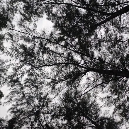 OnlyFans cuenta sky.y header 2