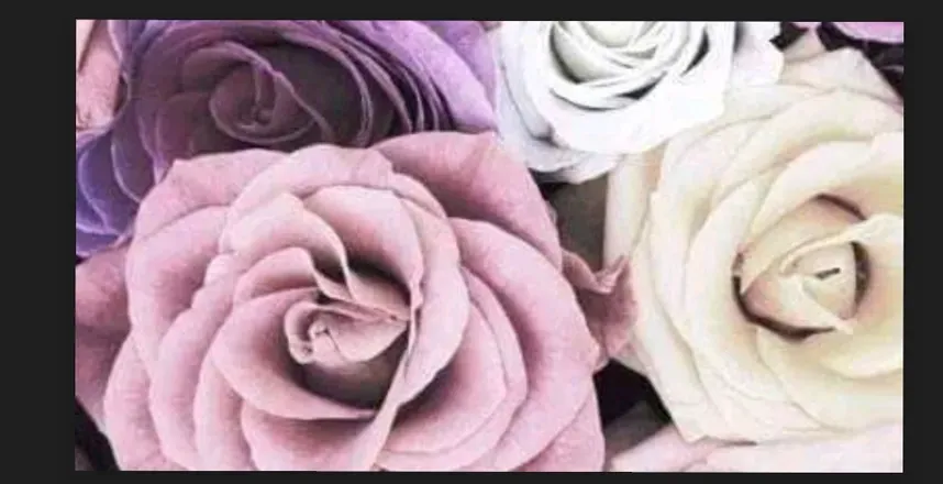 OnlyFans cuenta tanialeon header 2