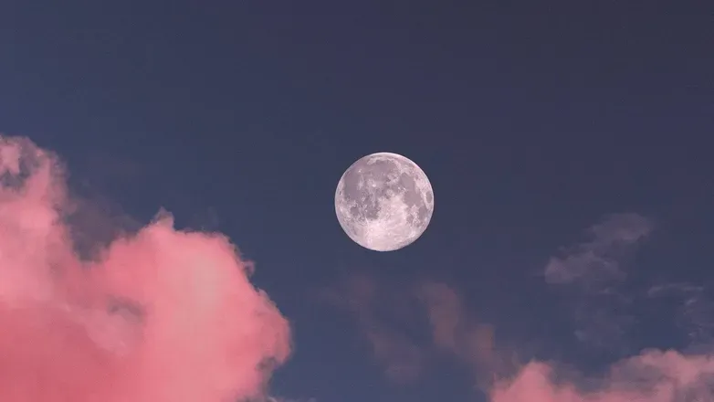 OnlyFans cuenta moonyatknight header 2
