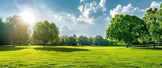OnlyFans cuenta balanceandbloom header 2