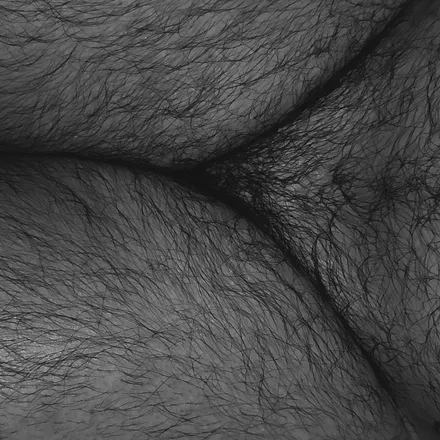OnlyFans cuenta thiccogre header 2