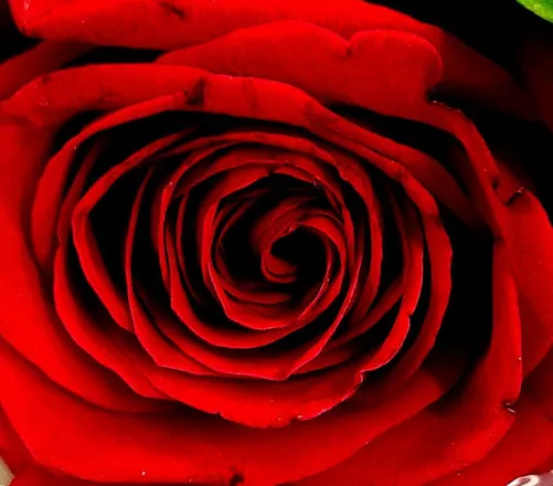 OnlyFans cuenta dreamqueen1997 header 2