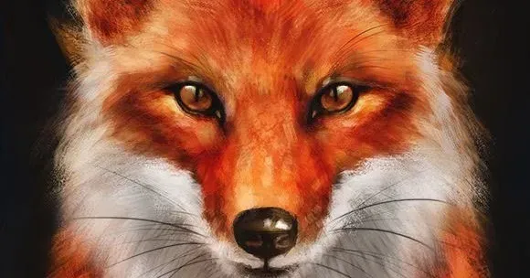 OnlyFans cuenta foxyzorr header 2