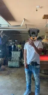 OnlyFans cuenta u29219631 avatar 1
