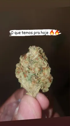 OnlyFans cuenta putosalvadorba header 2