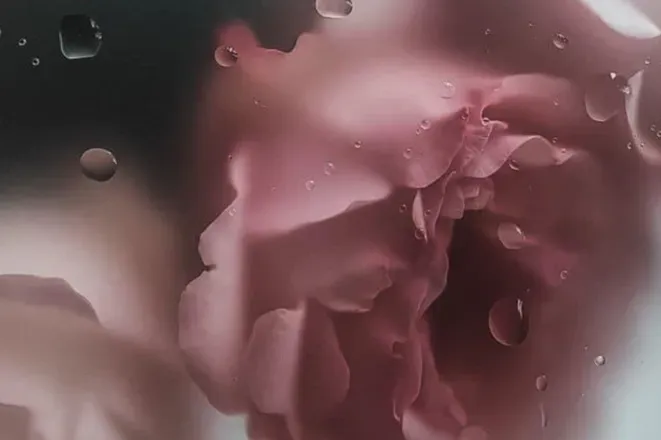OnlyFans cuenta fantasiaslife header 2