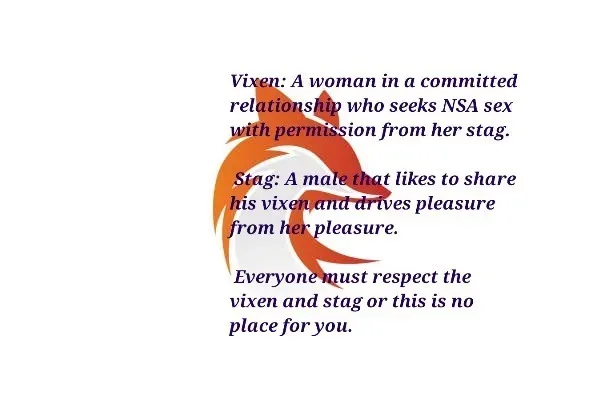 OnlyFans cuenta vixenmc1r header 2