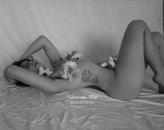 OnlyFans cuenta theheavenlyterp header 2