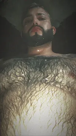 OnlyFans cuenta beargay6 avatar 1