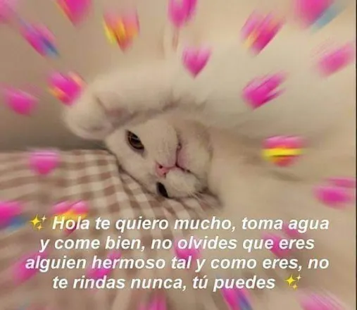 OnlyFans cuenta xxigotneedsxx header 2