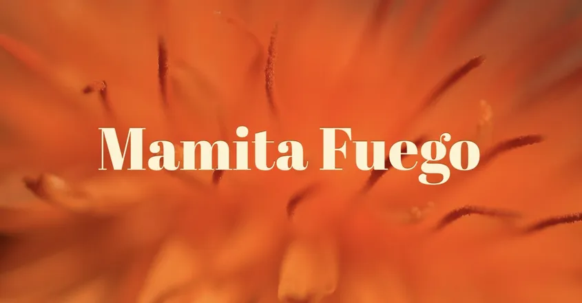 OnlyFans cuenta mamitafuego header 2