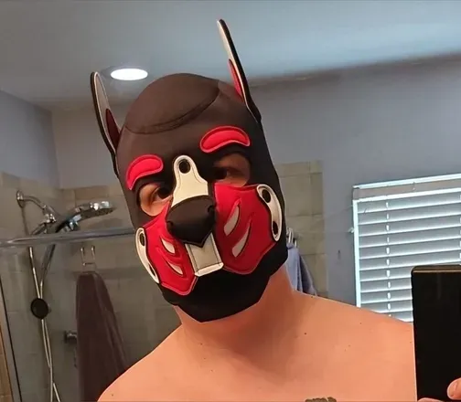 OnlyFans cuenta pup.gregor avatar 1