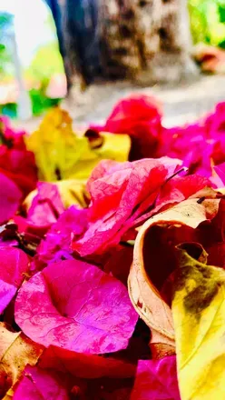 OnlyFans cuenta abbys_20 header 1