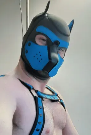 OnlyFans cuenta pup_fictionx avatar 1