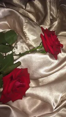OnlyFans cuenta itslylababy header 1