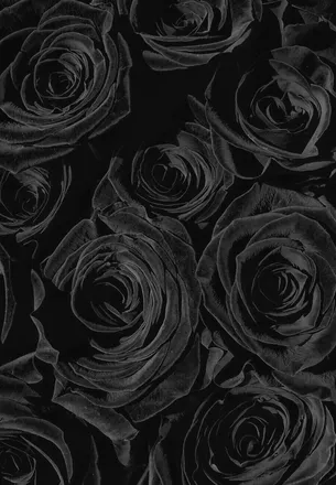 OnlyFans cuenta kiki.darling header 1