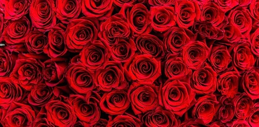 OnlyFans cuenta spicylyssaxoxo header 2