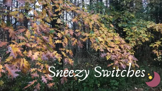 OnlyFans cuenta sneezyswitches header 2