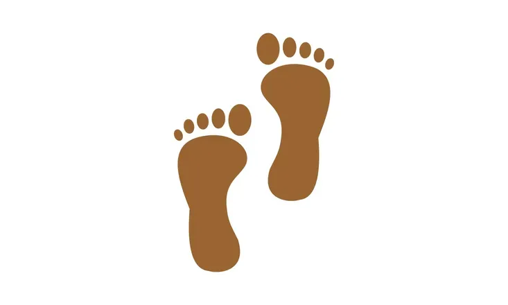 OnlyFans cuenta feetbyariaa header 2