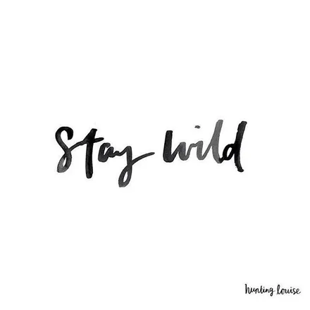 OnlyFans cuenta wildlifeeeee header 2