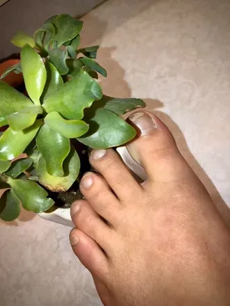 OnlyFans cuenta tall.girl.toes avatar 1