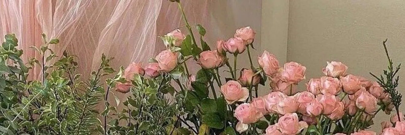 OnlyFans cuenta missbashfulbaby header 2
