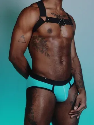 OnlyFans cuenta chechofl83 avatar 1