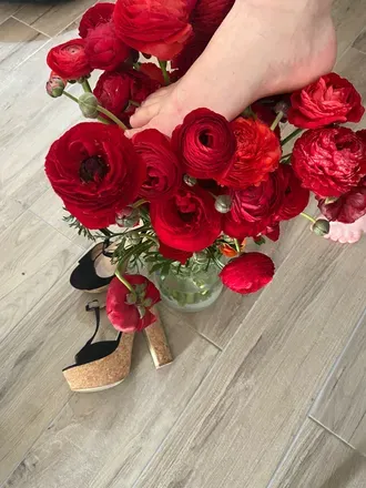 OnlyFans cuenta u227809200 header 2