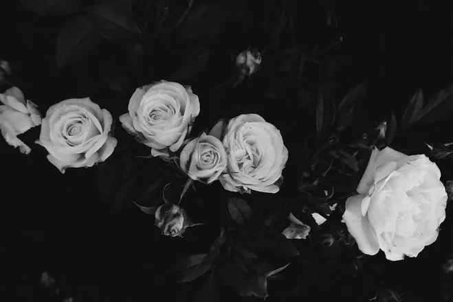 OnlyFans cuenta babygirl242020 header 2