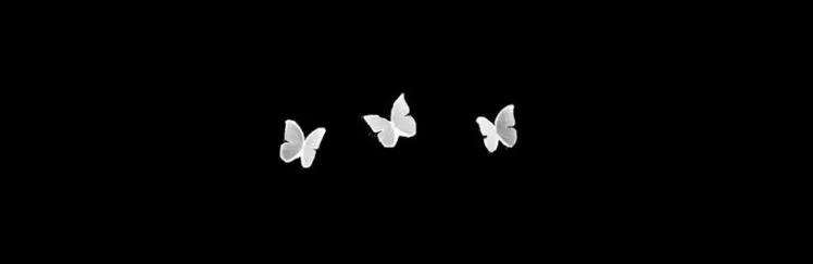 OnlyFans cuenta blossom1x header 2