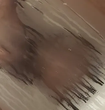 OnlyFans cuenta ebonyrose212 header 2