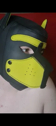 OnlyFans cuenta parkerthepuppy header 2