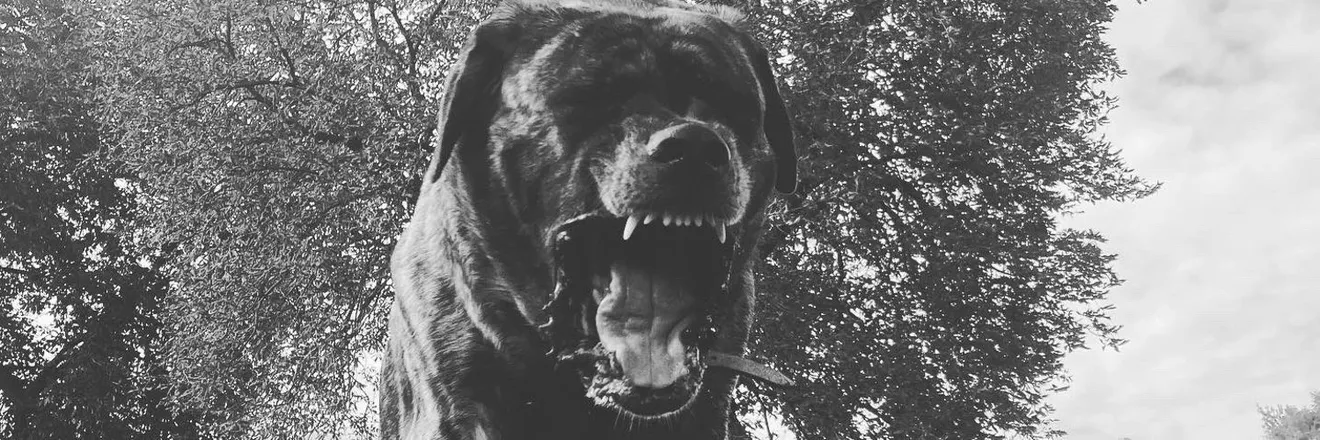 OnlyFans cuenta satans_sub420 header 2