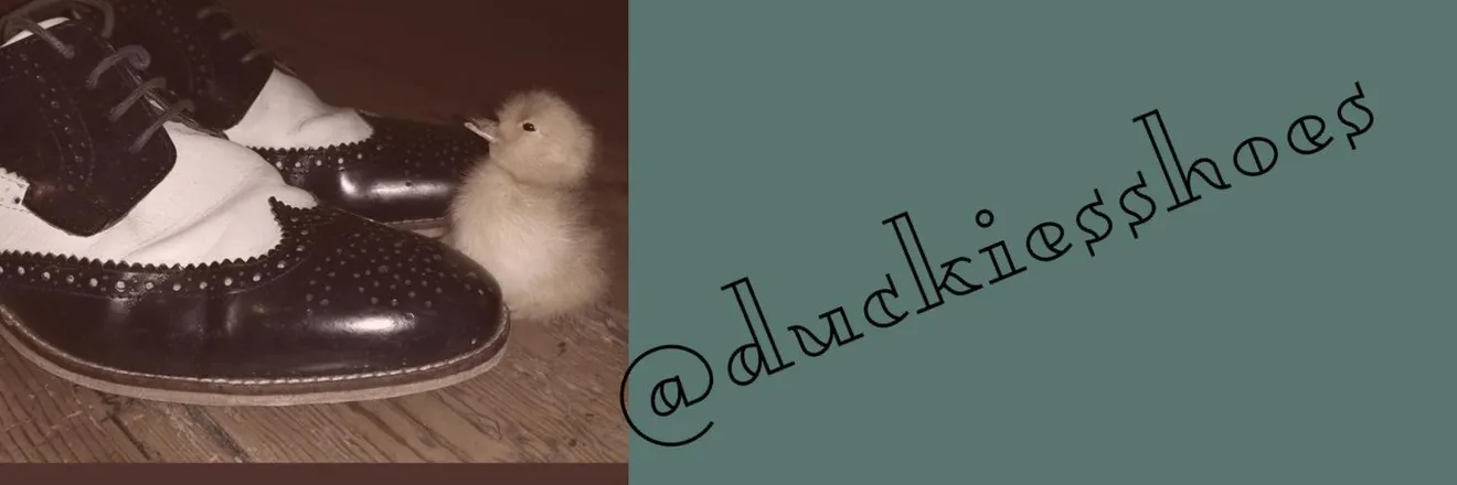 OnlyFans cuenta duckieshoes header 2