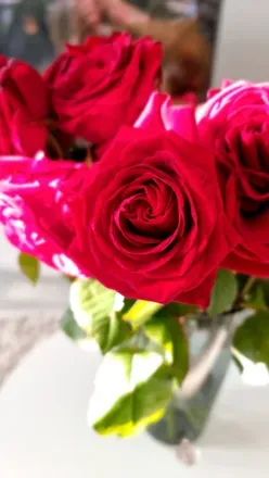 OnlyFans cuenta vekezc header 2
