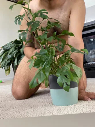 OnlyFans cuenta iplantsins header 2