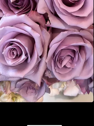 OnlyFans cuenta yeralmontoya header 2