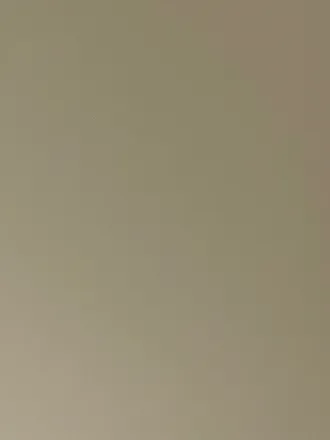 OnlyFans account  thebeanflicker header 2