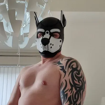OnlyFans cuenta onifangz avatar 1