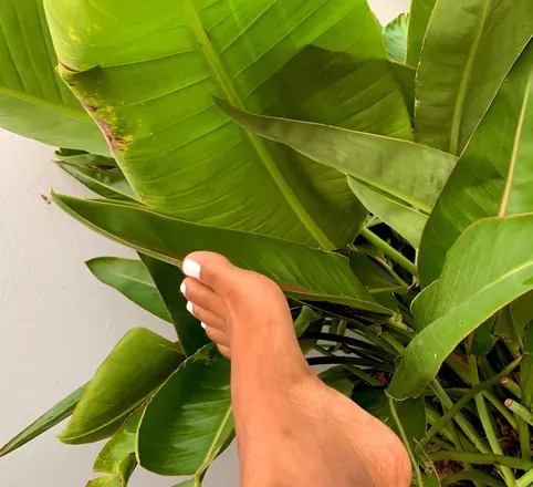 OnlyFans cuenta caramelfeetsweet avatar 1
