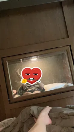 OnlyFans account  ccb97 avatar 1