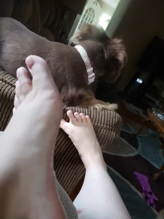 OnlyFans cuenta prettypetitfeet91 header 2
