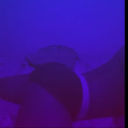 OnlyFans cuenta alisales header 2